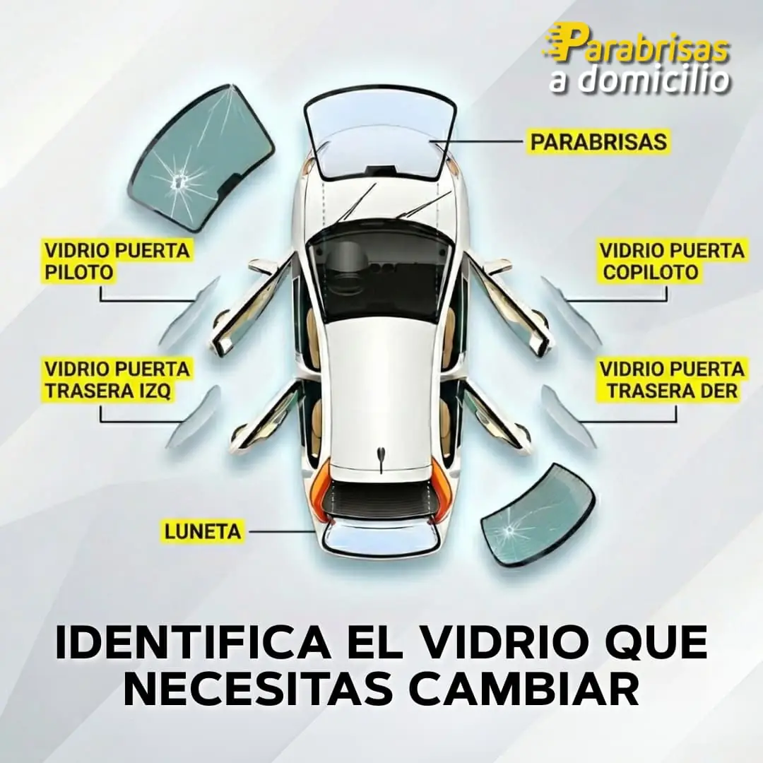 Diagrama de vidrios de un auto: parabrisas, luneta y laterales