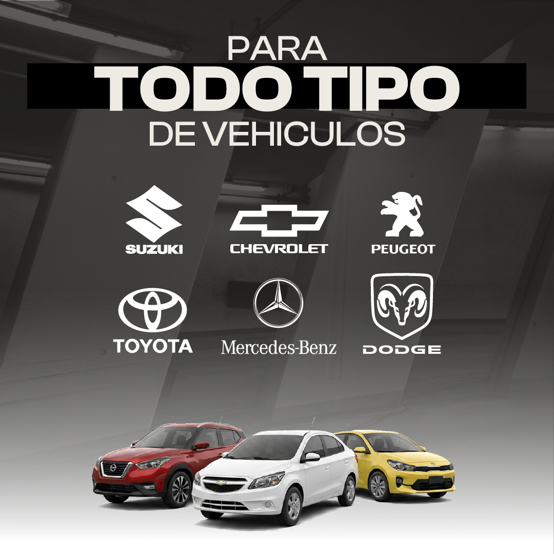 todo tipo de vehiculos